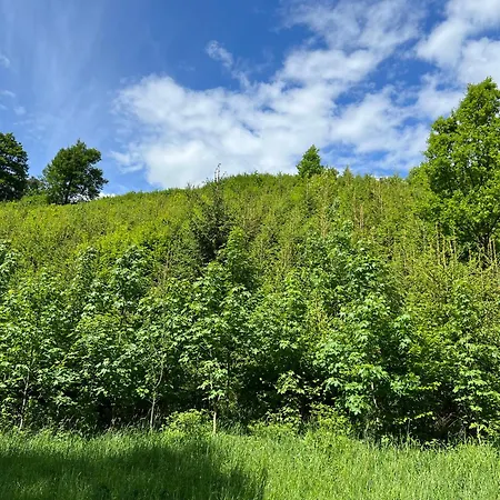 Dum Ve Stromech Nad Rekou Luxussátor Moravecké Pavlovice